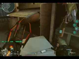 Doggo 宣布他将前往 LCP 赛区参赛